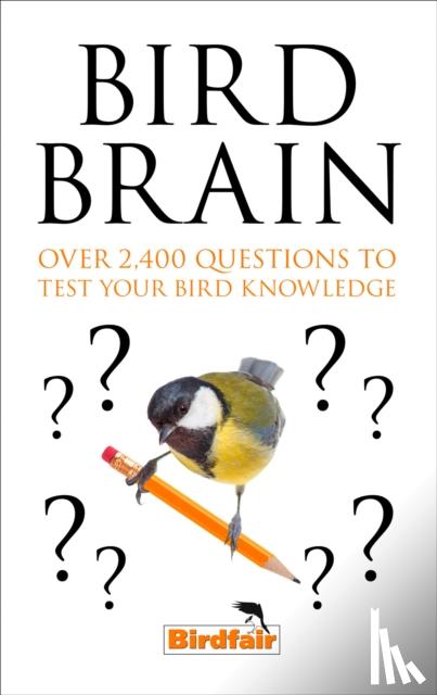 Nocontributor - Bird Brain