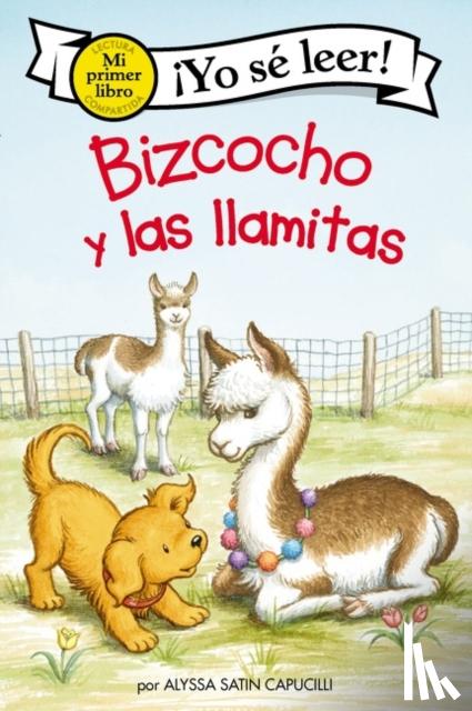 Capucilli, Alyssa Satin - Bizcocho y las llamitas