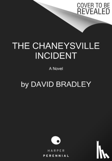 Bradley, David - The Chaneysville Incident