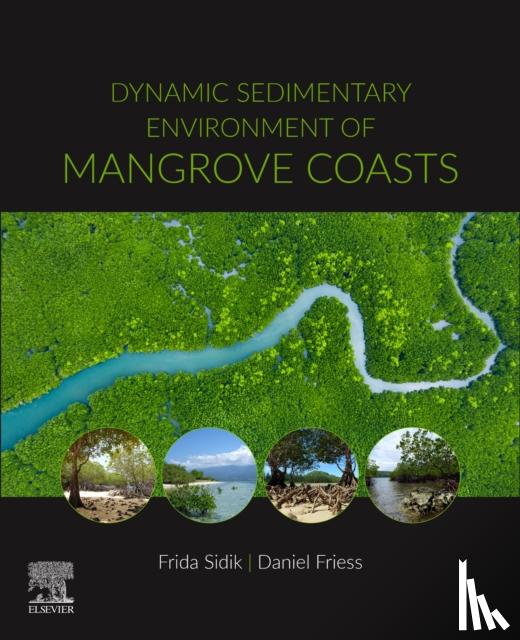  - Dynamic Sedimentary Environments of Mangrove Coasts