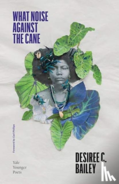 Bailey, Desiree C. - What Noise Against the Cane