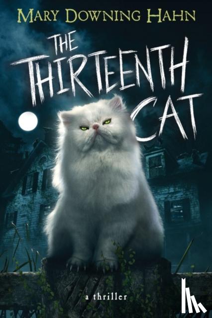 Hahn, Mary Downing - Thirteenth Cat