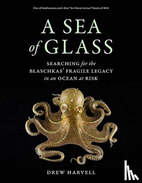 Harvell, Drew - A Sea of Glass
