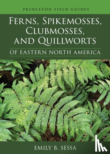 Sessa, Emily - Ferns, Spikemosses, Clubmosses, and Quillworts of Eastern North America