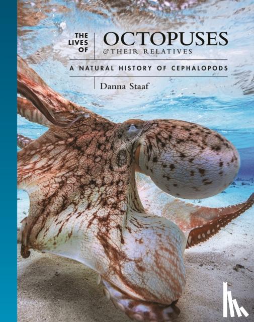 Staaf, Danna - The Lives of Octopuses and Their Relatives