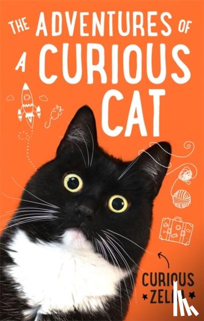 Zelda, Curious - The Adventures of a Curious Cat