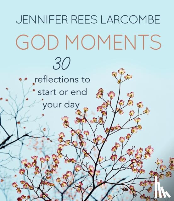 Larcombe, Jennifer Rees - God Moments