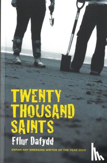 Dafydd, Fflur - Twenty Thousand Saints