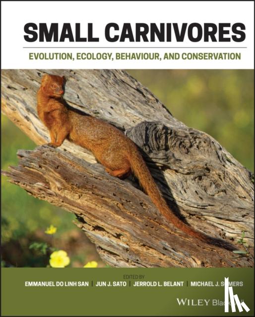  - Small Carnivores