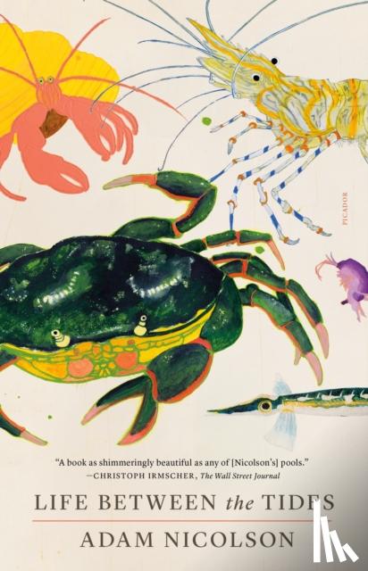 Nicolson, Adam - Life Between the Tides