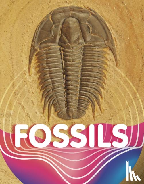 Sipperley, Keli - Fossils