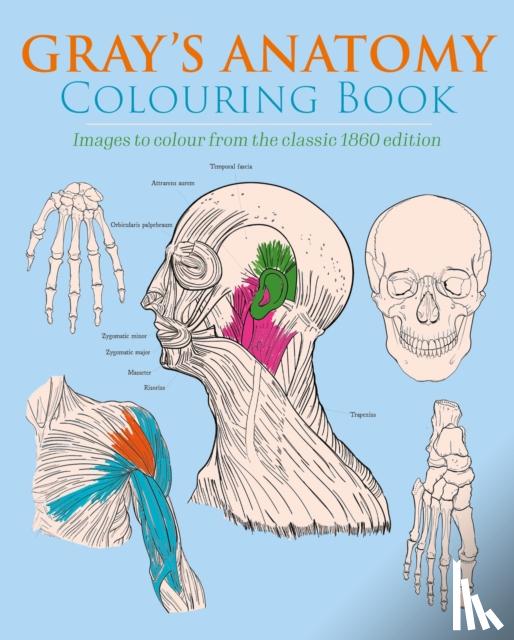 Gray, Henry, Carter, Henry - Gray's Anatomy Colouring Book
