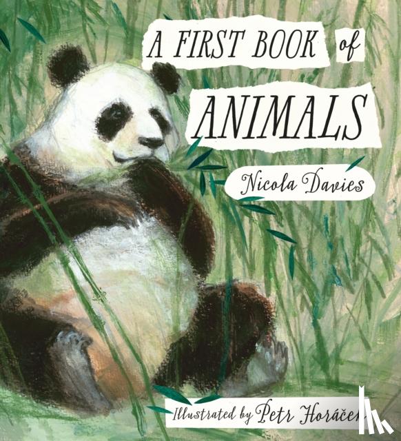 Davies, Nicola - A First Book of Animals