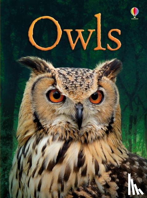 Bone, Emily - Owls