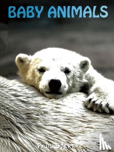 Sterry, Paul - Baby Animals