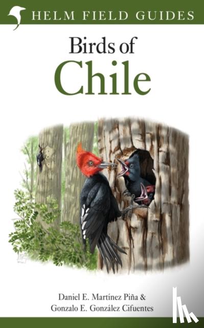 Martinez Pina, Daniel E., Cifuentes, Gonzalo E. Gonzalez - Field Guide to the Birds of Chile
