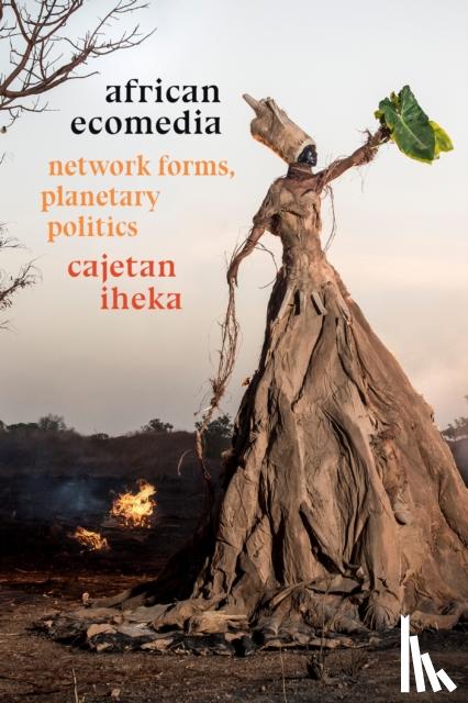 Iheka, Cajetan - African Ecomedia