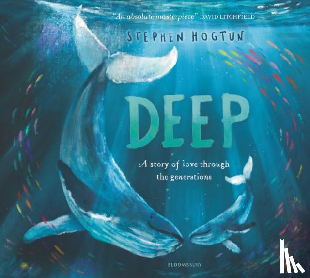 Hogtun, Stephen - DEEP