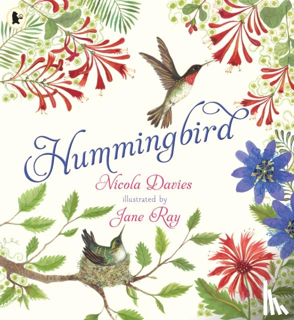 Davies, Nicola - Hummingbird