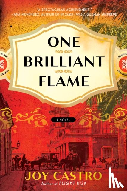 Castro, Joy - One Brilliant Flame