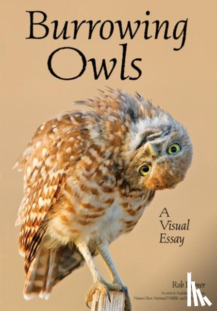 Palmer, Rob - Burrowing Owls