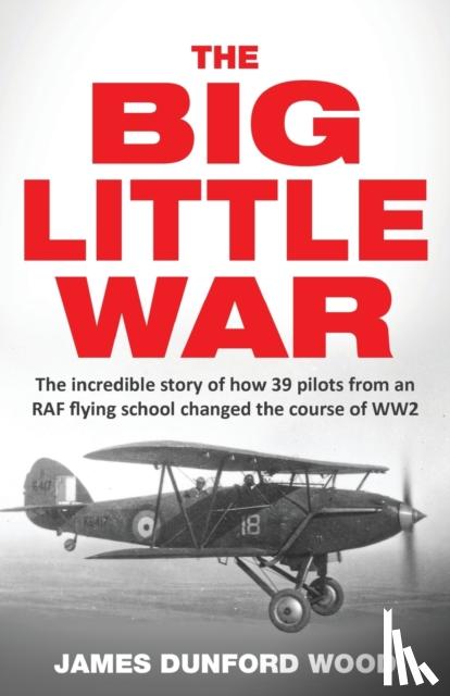 Dunford Wood, James - The Big Little War