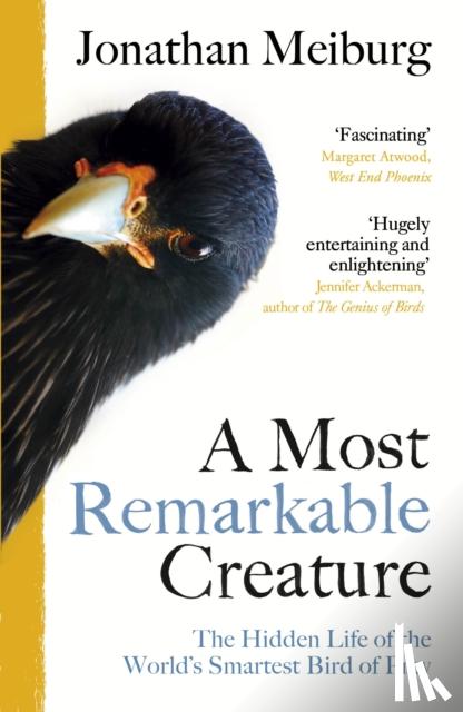 Meiburg, Jonathan - A Most Remarkable Creature