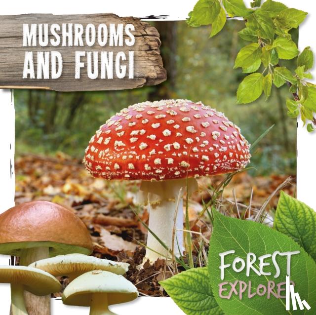 Twiddy, Robin - Mushrooms & Fungi