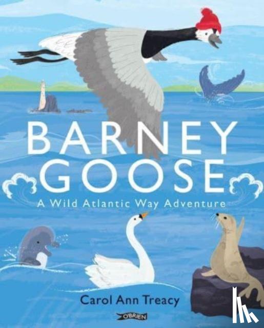 Treacy, Carol Ann - Barney Goose