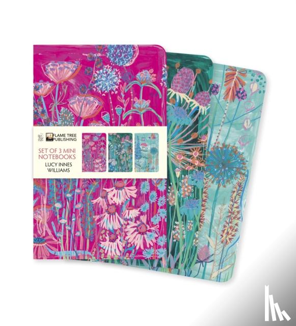 Flame Tree Studio - Lucy Innes Williams Set of 3 Mini Notebooks