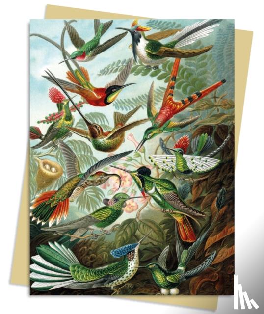  - Ernst Haeckel: Hummingbirds Greeting Card Pack