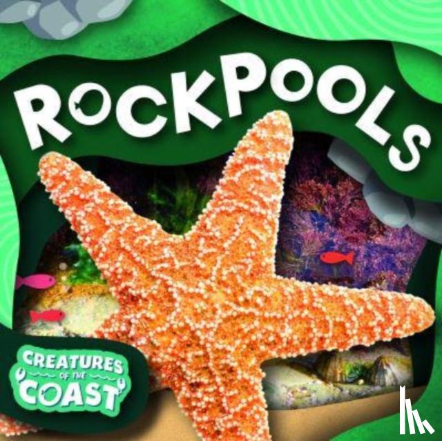 Leatherland, Noah (Booklife Publishing Ltd) - Rockpools