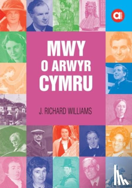 Williams, J. Richard - Cyfres Amdani: Mwy o Arwyr Cymru
