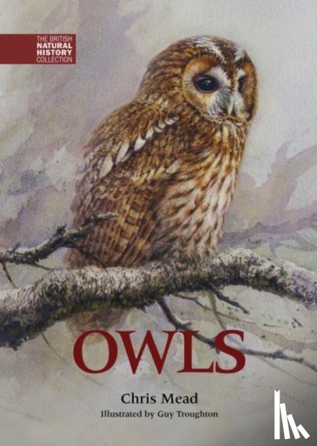 Mead, Chris - Owls