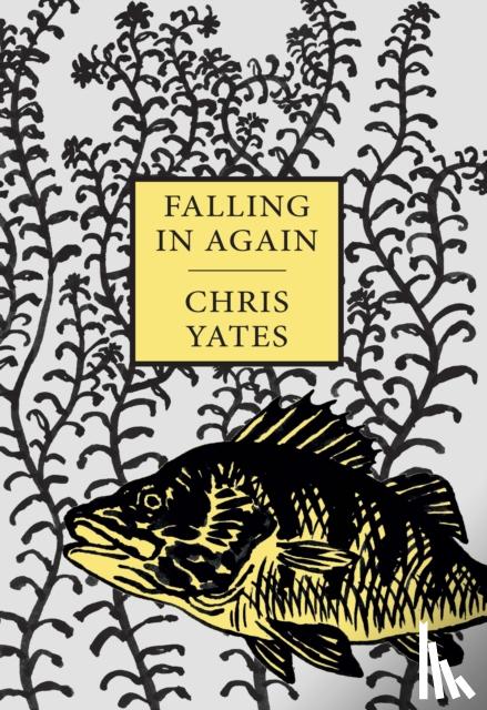 Yates, Chris - Falling in Again