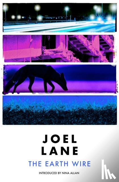 Lane, Joel - The Earth Wire