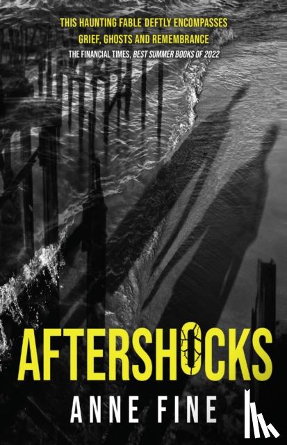Fine, Anne - Aftershocks