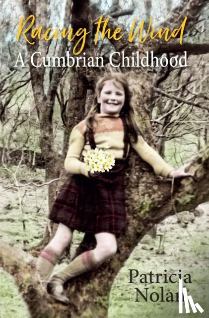 Nolan, Patricia - Racing the Wind