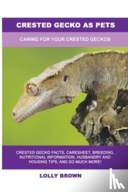 Brown, Lolly - Crested Gecko as Pets