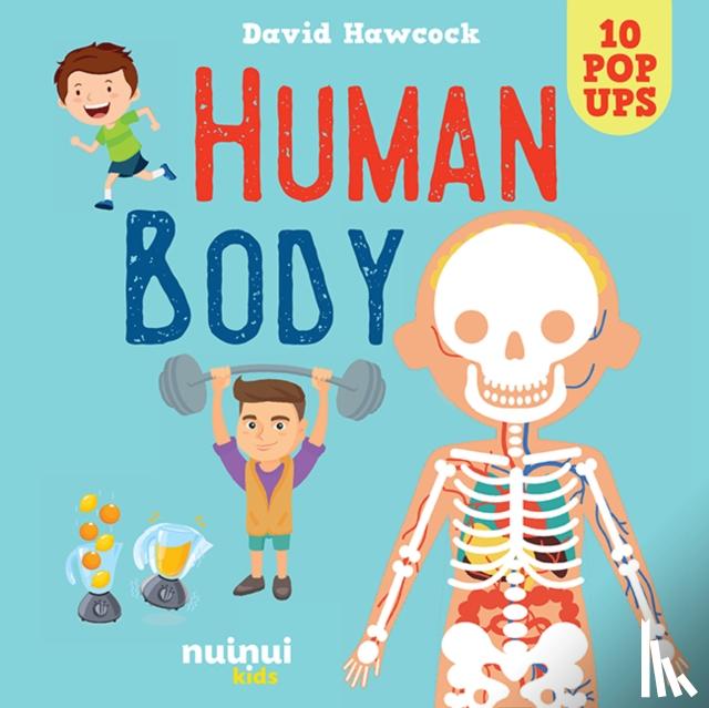 Hawcock, David - Human Body