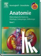 DETLEV DRENCKHAHN - BENNINGHOFF DRENCKHAHN ANATOMIE