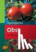 Fischer, Manfred, Albrecht, Hans J., Geibel, Martin - Taschenatlas Obst