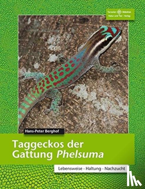 Berghof, Hans-Peter - TAGGECKOS DER GATTUNG PHELSUMA