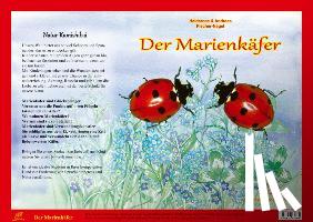 Fischer-Nagel, Heiderose, Fischer-Nagel, Andreas - Natur-Kamishibai - Der Marienkäfere