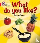 Owen, Anna - What do you like? - Band 02b/Red B