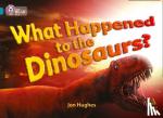 Hughes, Jon - What Happened to the Dinosaurs? - Band 13/Topaz
