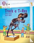 Dineen, Helen - Track a T-Rex - Phase 4 Set 1