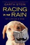 Stein, Garth - Racing in the Rain