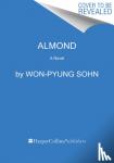 Sohn, Won-pyung - Almond - A Novel