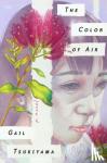 Tsukiyama, Gail - The Color of Air - A Novel